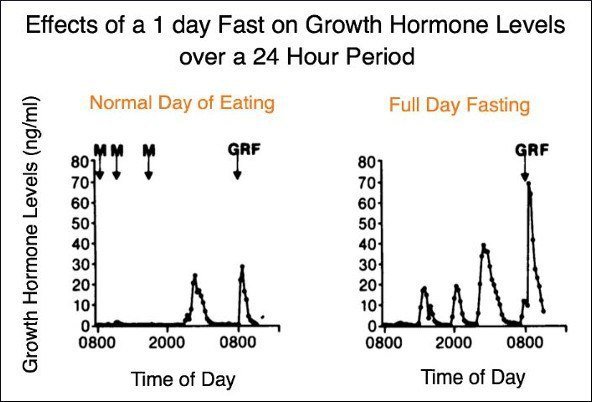 11 façons de stimuler naturellement l'hormone de croissance (HGH)