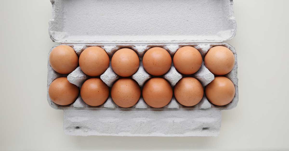 Pourquoi les œufs sont-ils bons pour vous? Un super aliment à base d'oeufs


