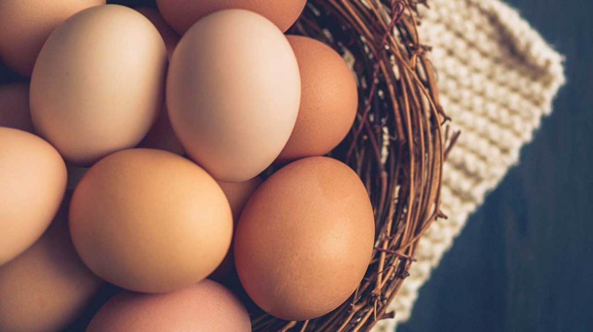 Avantages pour la santé des œufs