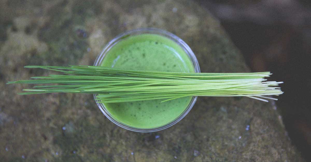 7 avantages de Wheatgrass fondée sur des preuves

