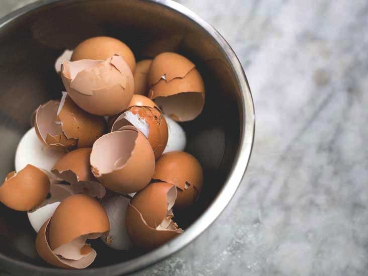 Les avantages et les risques de manger des coquilles d'œufs