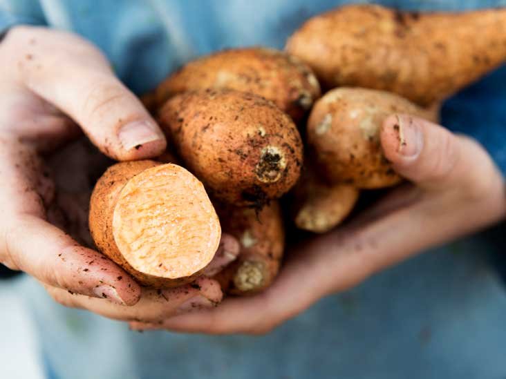 Patates Douces Et Ignames Quelle Est La Difference