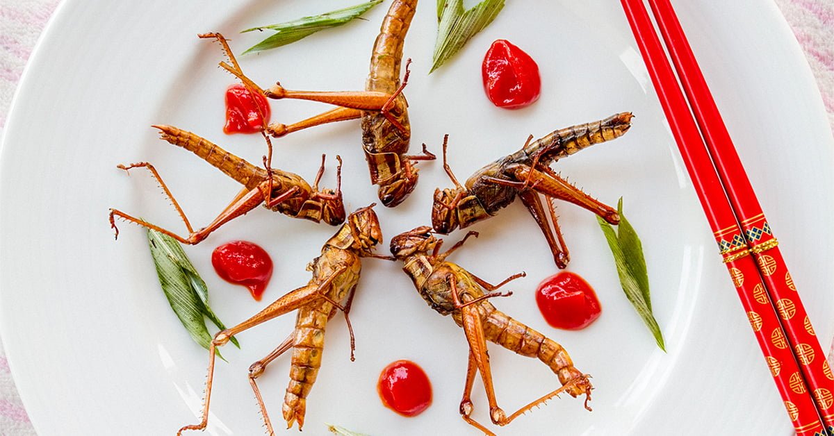 Pourquoi les insectes comestibles sont la prochaine tendance des superaliments

