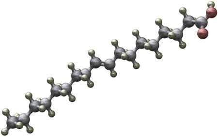 Molécule d'acide gras