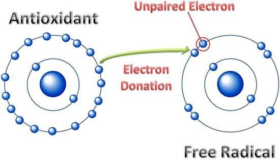 Diagramme Antioxydants vs Radicaux Libres