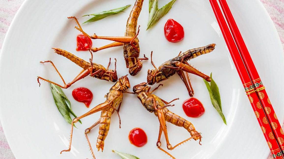 Pourquoi les insectes comestibles sont la prochaine tendance des superaliments