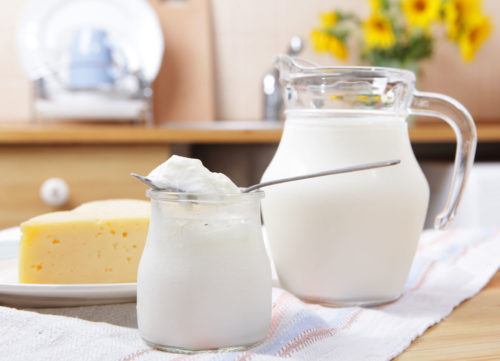 Les produits laitiers tels que le lait en poudre retiennent le fromage au yogourt sur la toile
