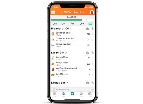 application Lossit sur iPhone