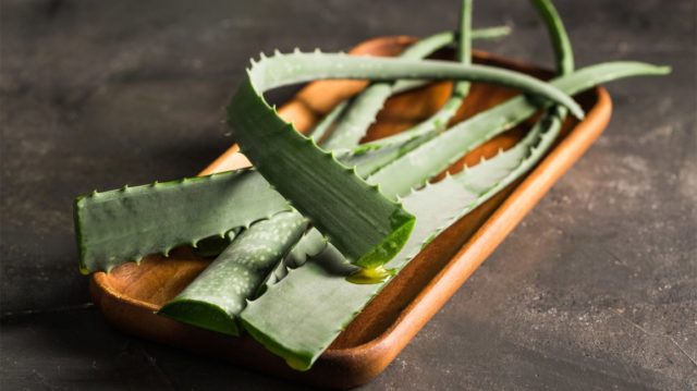 Aloe Vera pour la perte de poids