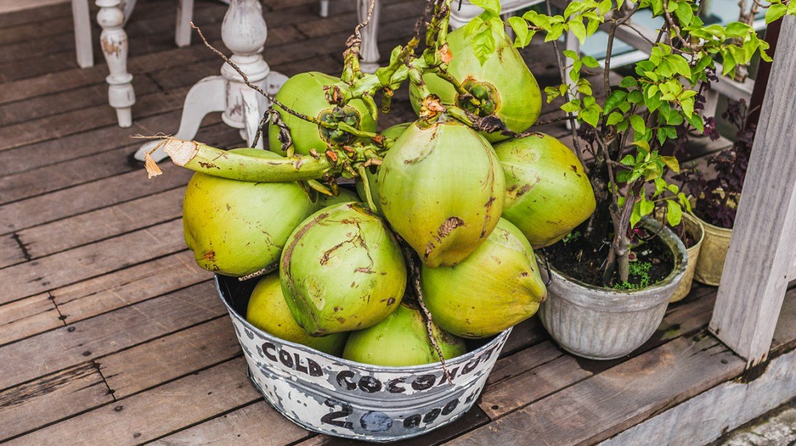 Noix de coco verte