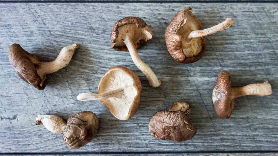 Pourquoi les champignons shiitake sont bons pour vous