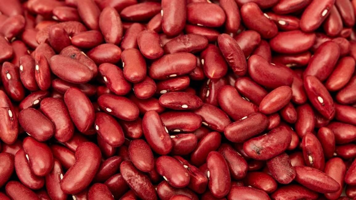 Haricots rouges 101 : valeur nutritive et bienfaits pour la santé