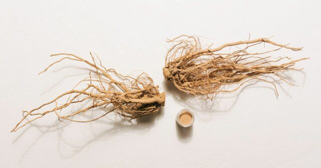 Avantages pour la santé de l'Ashwagandha, basés sur la recherche

