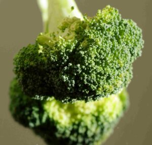 Image d'un brocoli sur une assiette